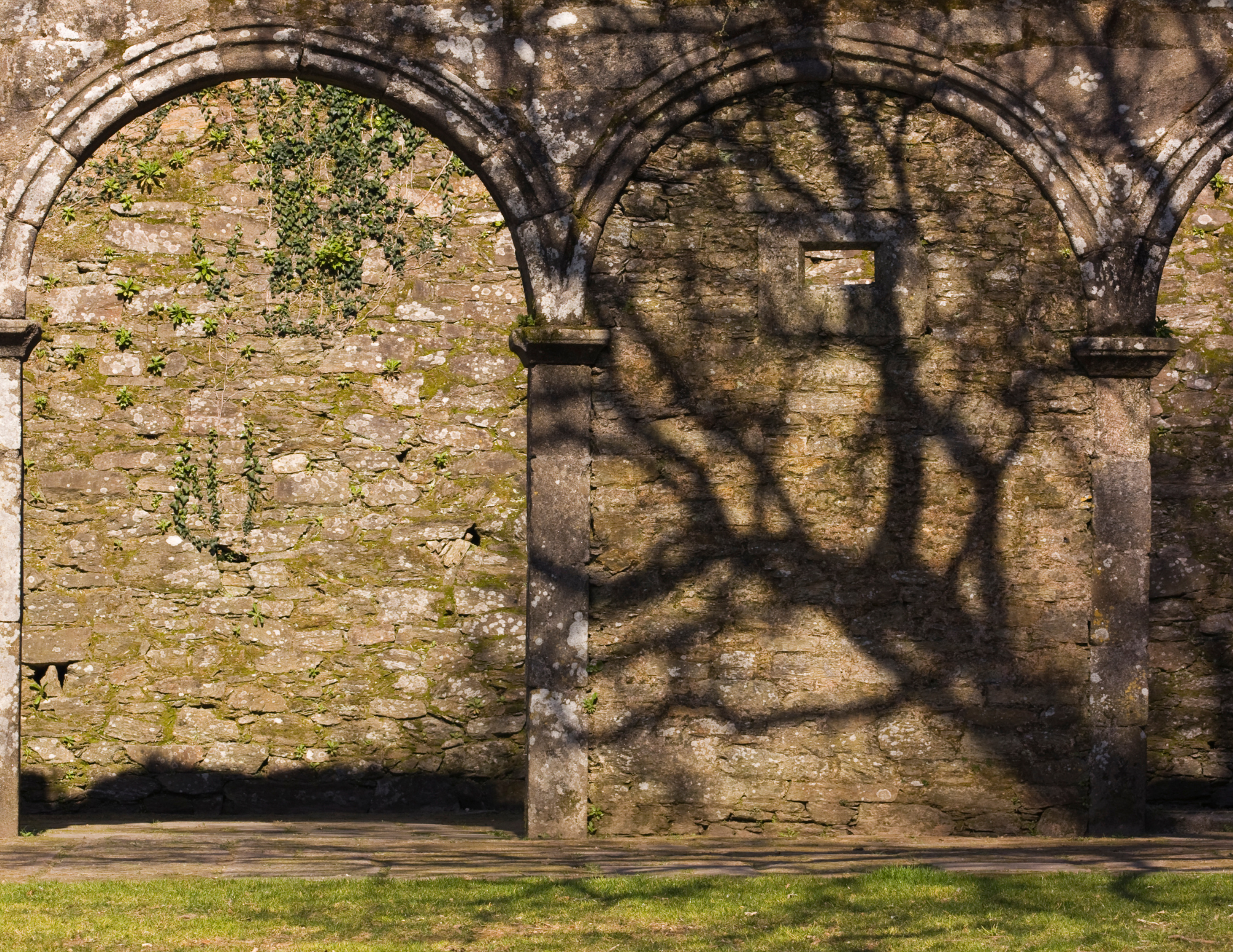 San Domingos de Bonaval Park.png